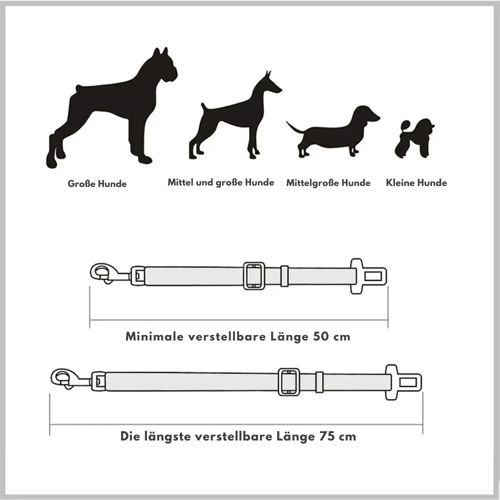 SafeDog Sicherheitsleine