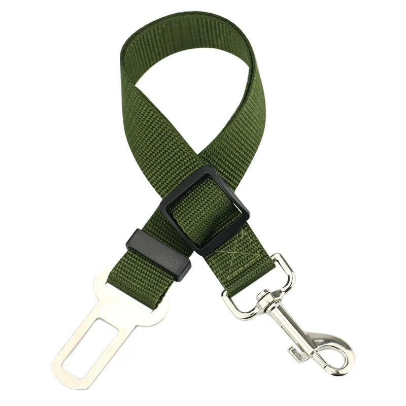 SafeDog Sicherheitsleine