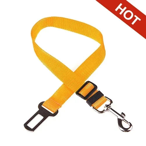 SafeDog Sicherheitsleine