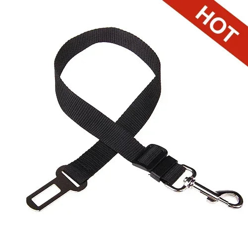 SafeDog Sicherheitsleine