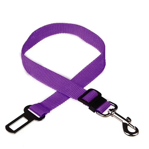 SafeDog Sicherheitsleine