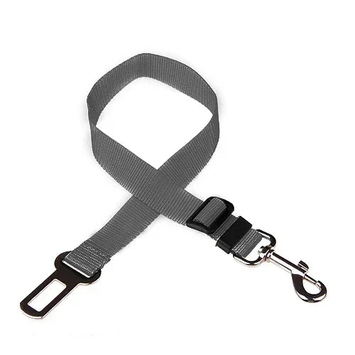 SafeDog Sicherheitsleine