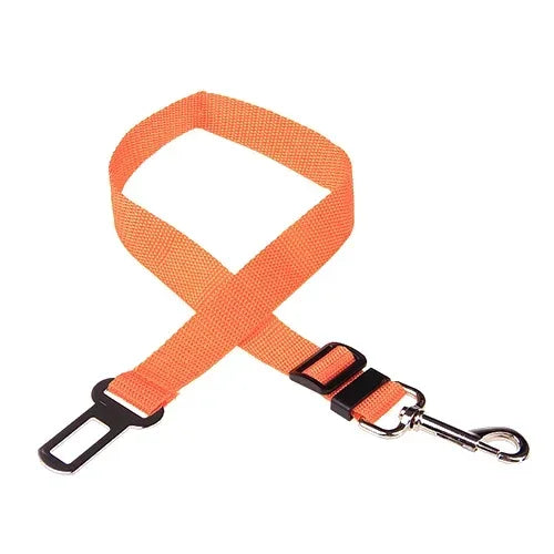 SafeDog Sicherheitsleine