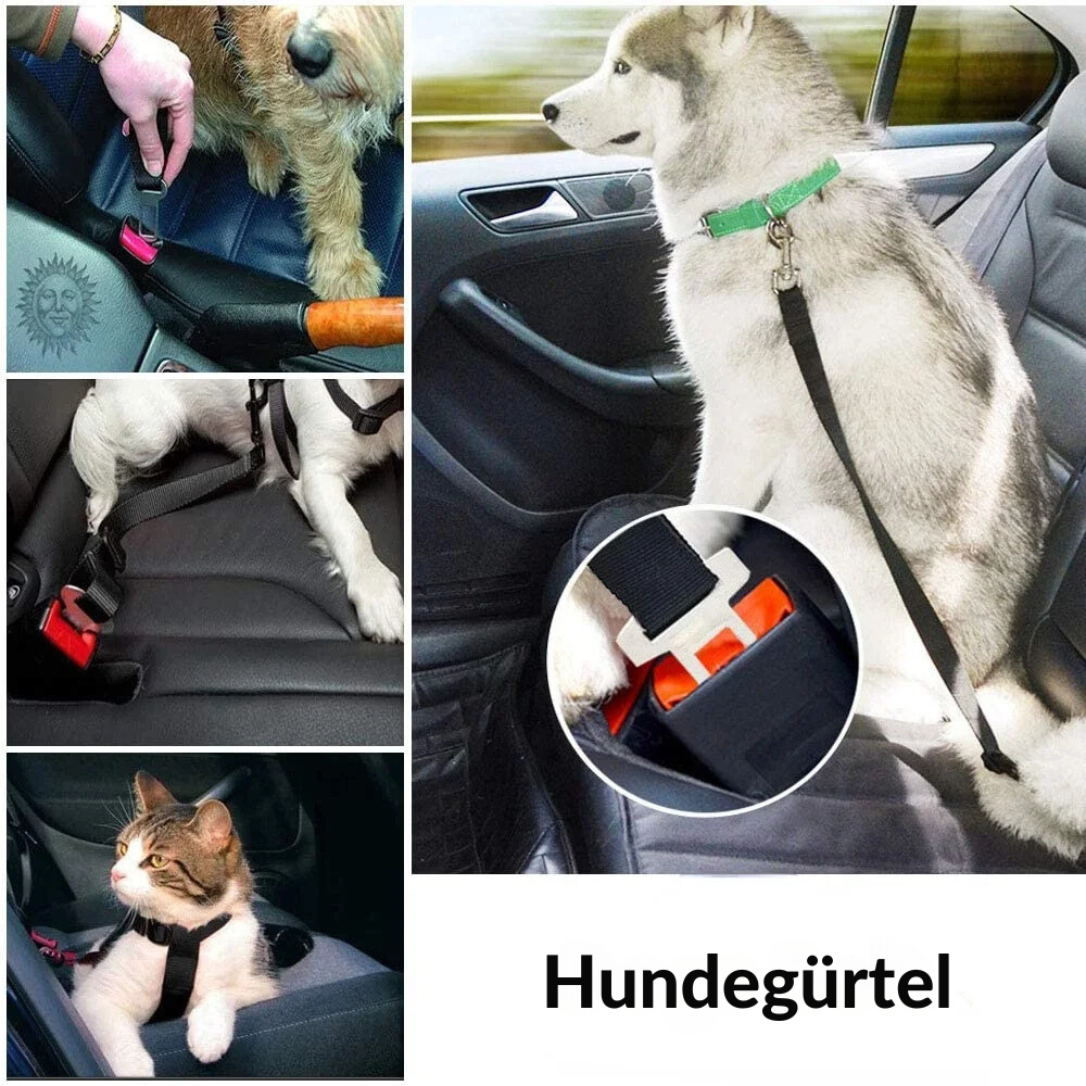 SafeDog Sicherheitsleine