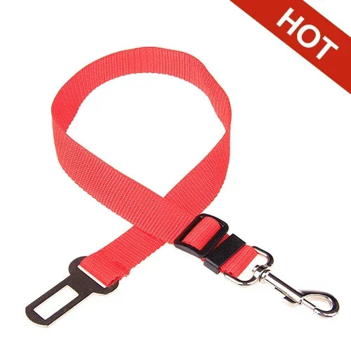 SafeDog Sicherheitsleine